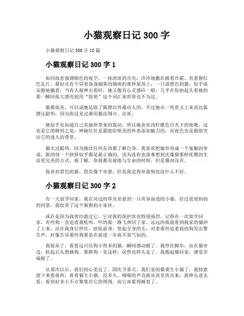 小猫观察日记300字