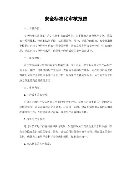 安全标准化审核报告