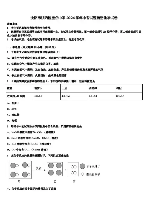 沈阳市铁西区重点中学2024届中考试题猜想化学试卷含解析