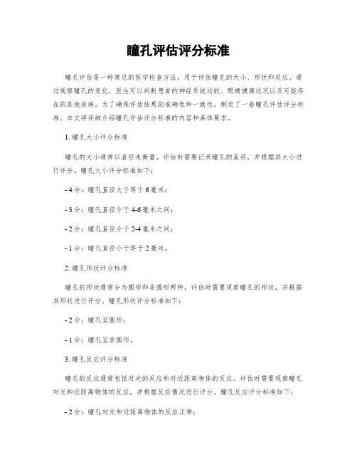 瞳孔评估评分标准