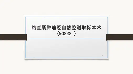 结直肠肿瘤经自然腔道取标本术(NOSES)PPT课件