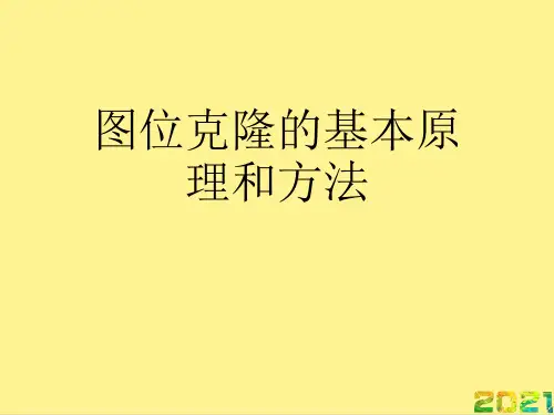 图位克隆的基本原理和方法完整PPT