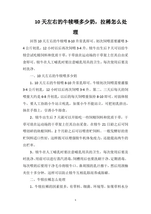 10天左右的牛犊喂多少奶,拉稀怎么处理