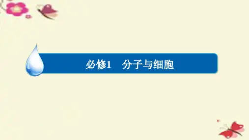高考生物一轮复习第1单元走近细胞和组成细胞的分子第2讲细胞中的元素和化合物细胞中的无机物课件