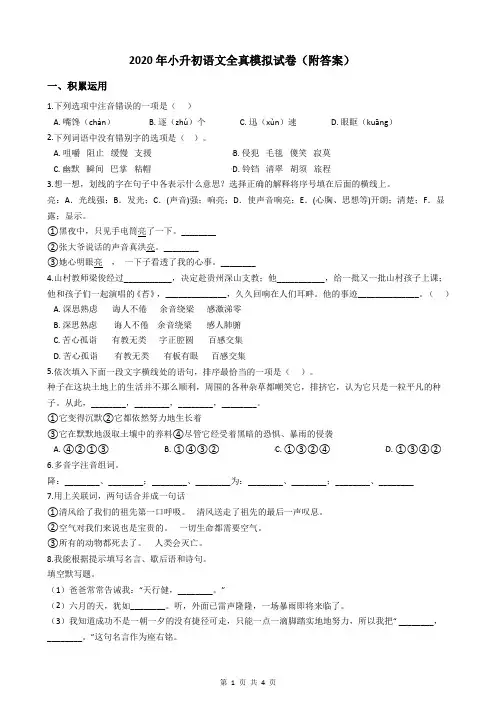 2020年小升初语文全真模拟试卷(附答案)