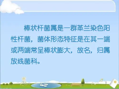 棒状杆菌属ppt课件