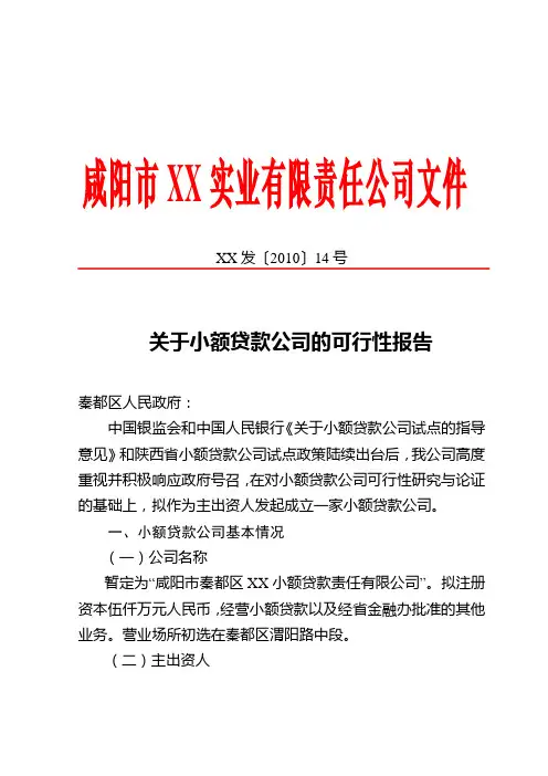 关于设立小额贷款公司的可行性研究报告