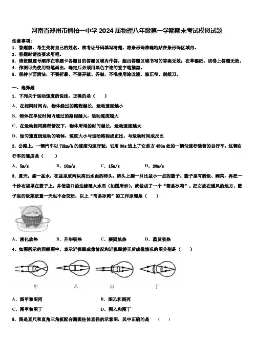 河南省郑州市桐柏一中学2024届物理八年级第一学期期末考试模拟试题含解析