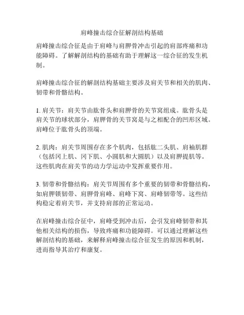 肩峰撞击综合征解剖结构基础
