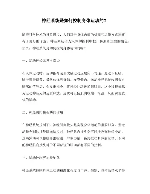 神经系统是如何控制身体运动的？