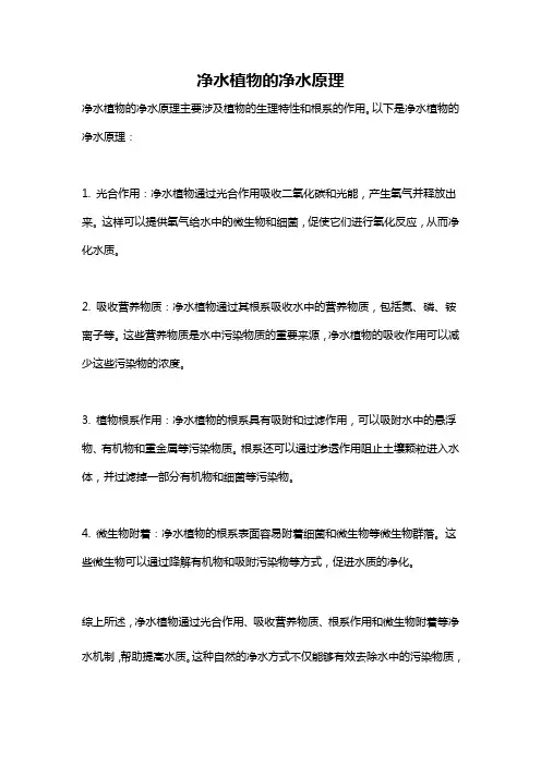 净水植物的净水原理