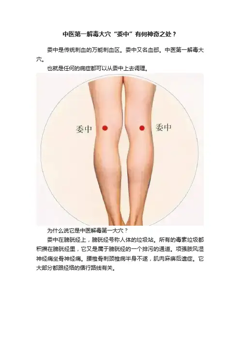 中医第一解毒大穴“委中”有何神奇之处？