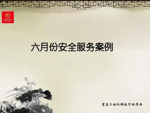 2010-6月份宜昌三峡机场安全服务案例
