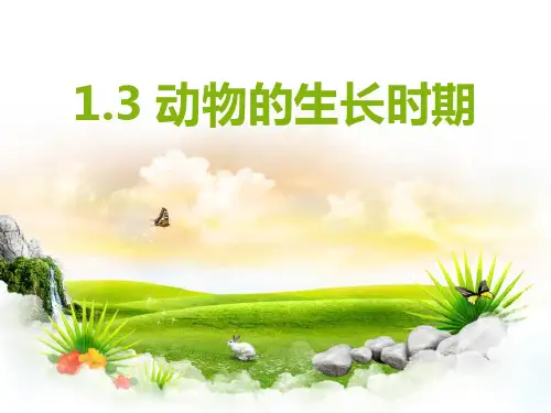 动物的生长时期- ppt完整版