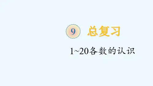 广西壮族自治区柳州市某小学一年级数学上册9总复习第1课时1_20各数的认识课件新人教版3