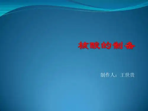 核酸的制备