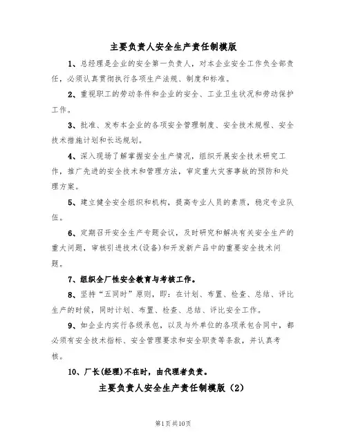 主要负责人安全生产责任制模版（5篇）