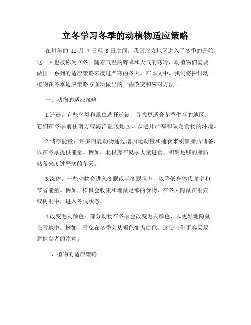 立冬学习冬季的动植物适应策略