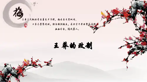 王莽的改制(简述)