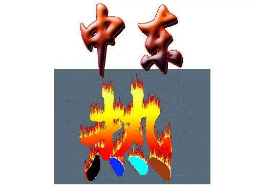 人教版初中地理《中东》完美课件2