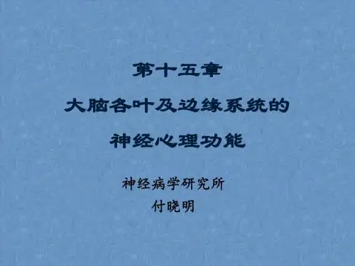 额叶顶叶的神经心理功能--神经心理学.