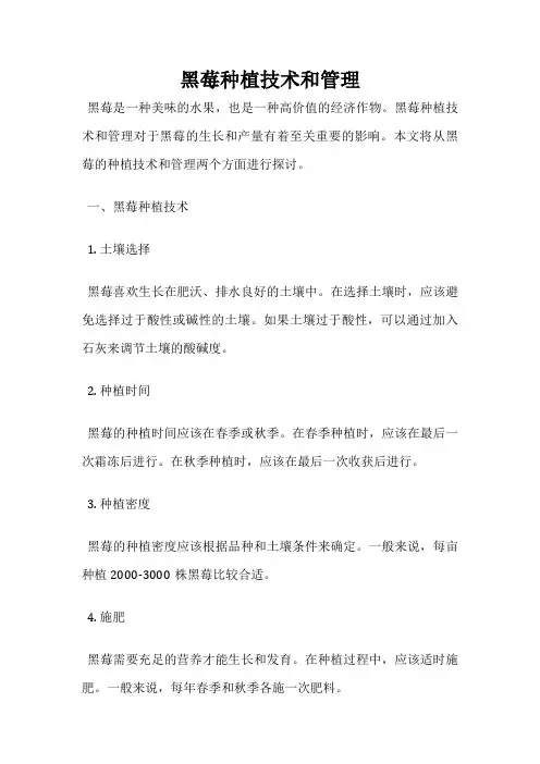 黑莓种植技术和管理