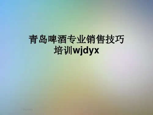 青岛啤酒专业销售技巧培训wjdyx