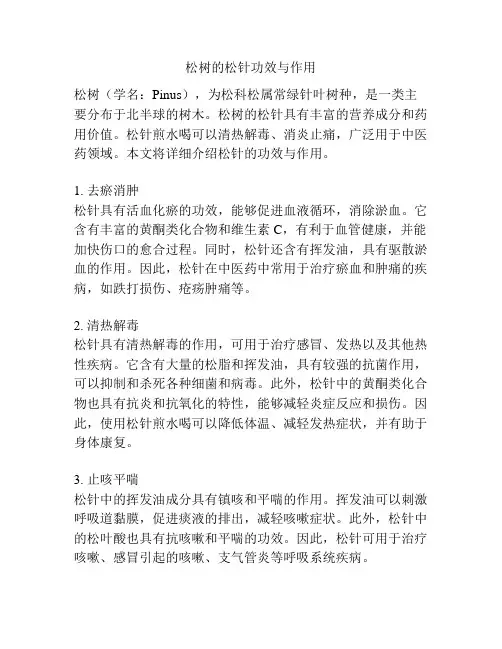 松树的松针功效与作用