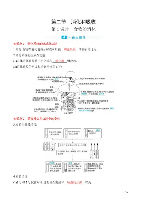 2022年人教版七年级下册生物第二章人体的营养第二节消化和吸收 第1课时食物的消化