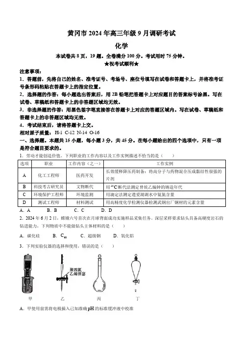 湖北省黄冈市2024-2025学年高三上学期9月调研考试 化学 含解析