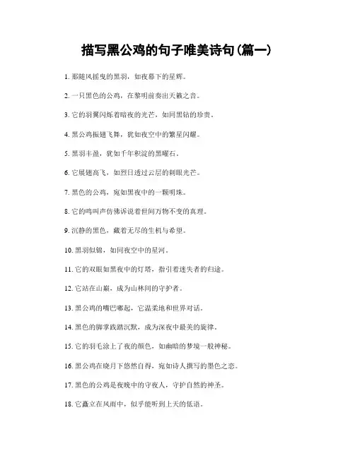 描写黑公鸡的句子唯美诗句(精选2篇)