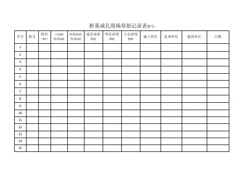 桩基成孔记录表