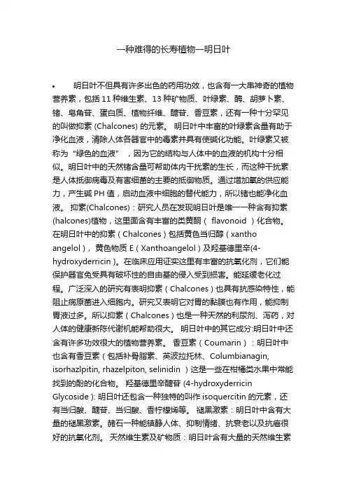 一种难得的长寿植物一明日叶