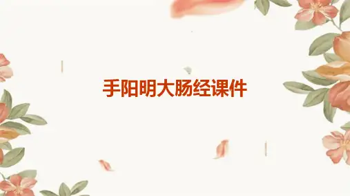 手阳明大肠经课件
