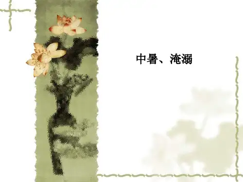 中暑、淹溺 PPT课件