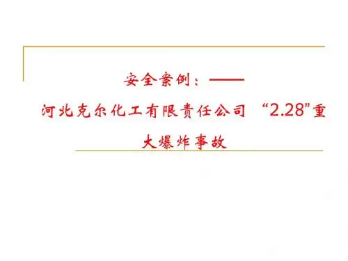 安全案例分析—2.28”爆炸事故-精选文档