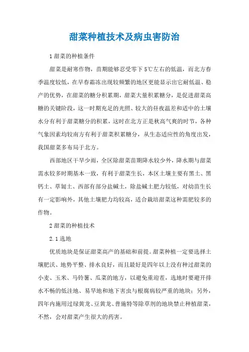 甜菜种植技术及病虫害防治
