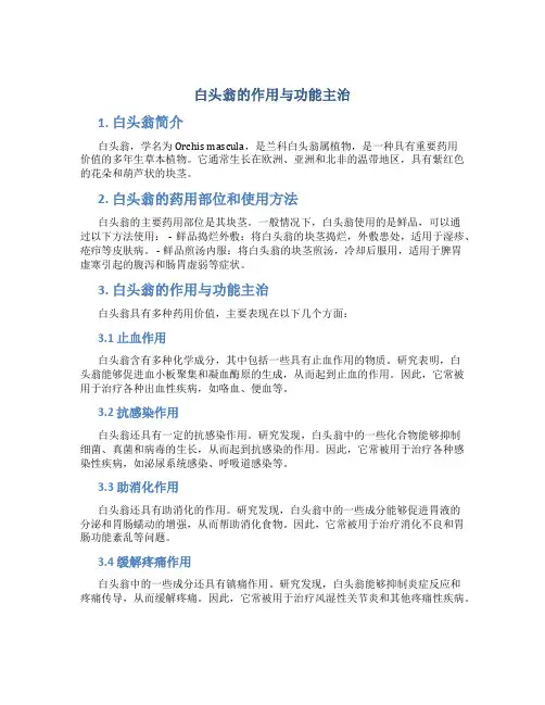 白头翁的作用与功能主治