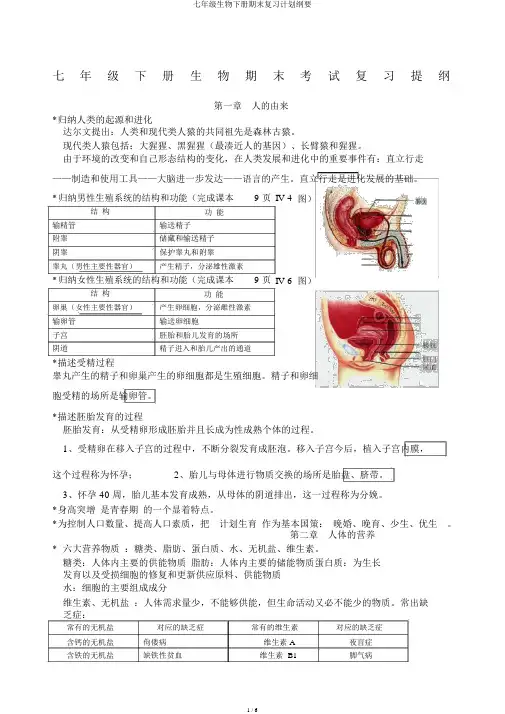 七年级生物下册期末复习计划提纲
