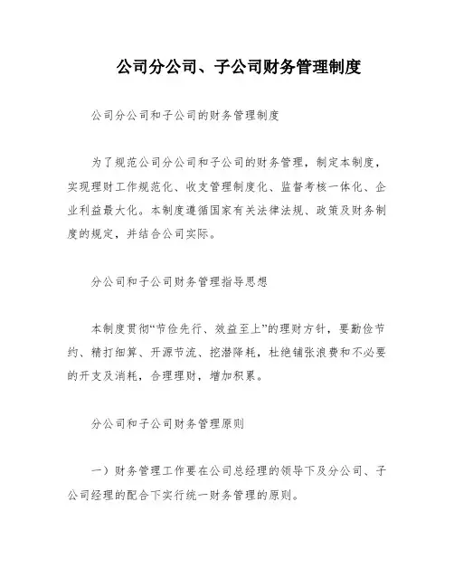 公司分公司、子公司财务管理制度