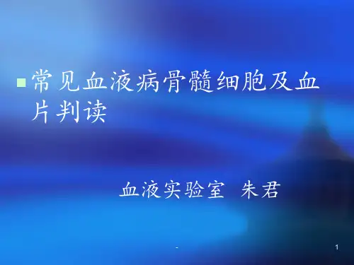 140926-朱君-常见血液病骨髓细胞及血片判读PPT课件
