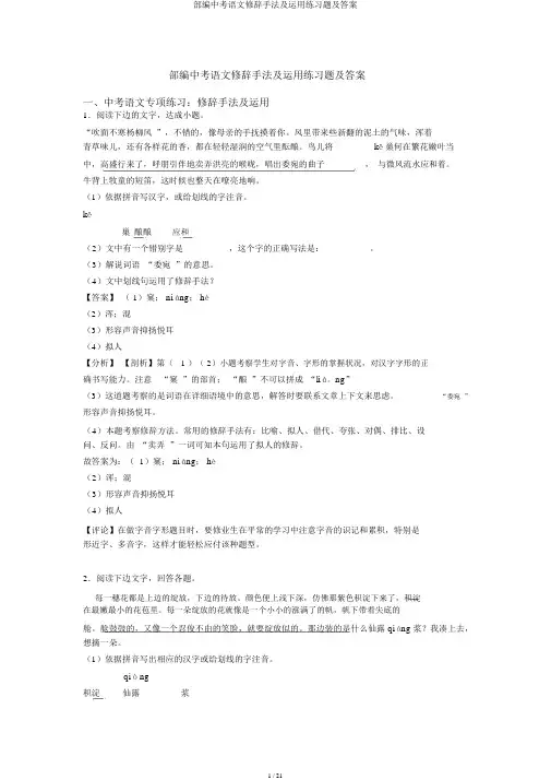 部编中考语文修辞手法及运用练习题及答案