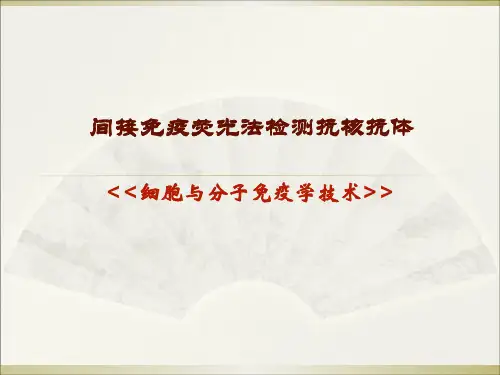 细胞分子免疫学-间接免疫荧光法检测抗核抗体精品文档