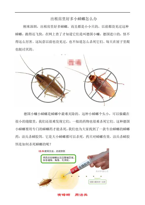 出租房里好多小蟑螂怎么办