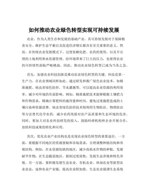如何推动农业绿色转型实现可持续发展