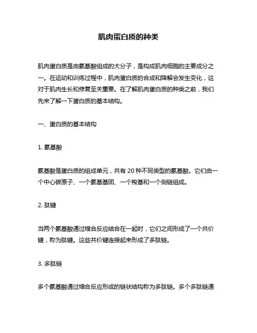 肌肉蛋白质的种类