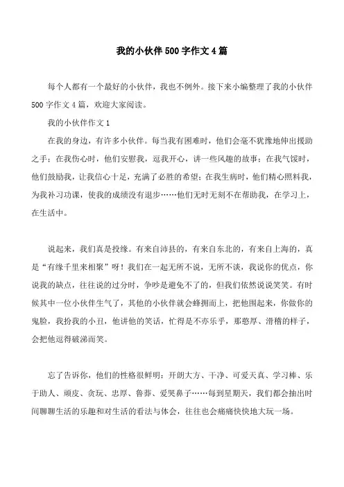 我的小伙伴500字作文4篇