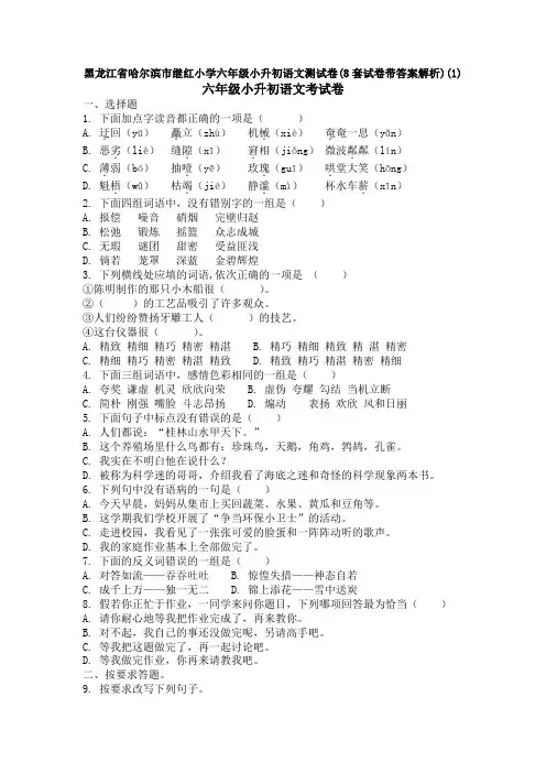 黑龙江省哈尔滨市继红小学六年级小升初语文测试卷(8套试卷带答案解析)(1)