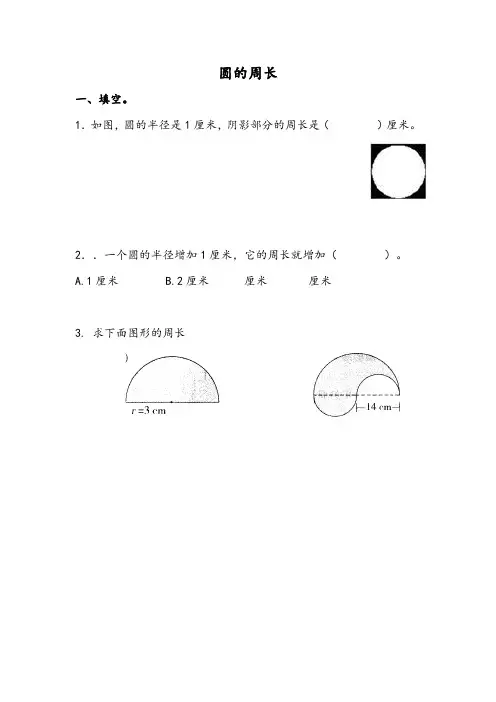 青岛版数学六年级上册《5.2 圆的周长》同步练习(附答案)