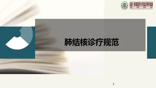 肺结核诊疗规范PPT课件